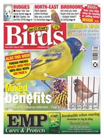 Cage & Aviary Birds